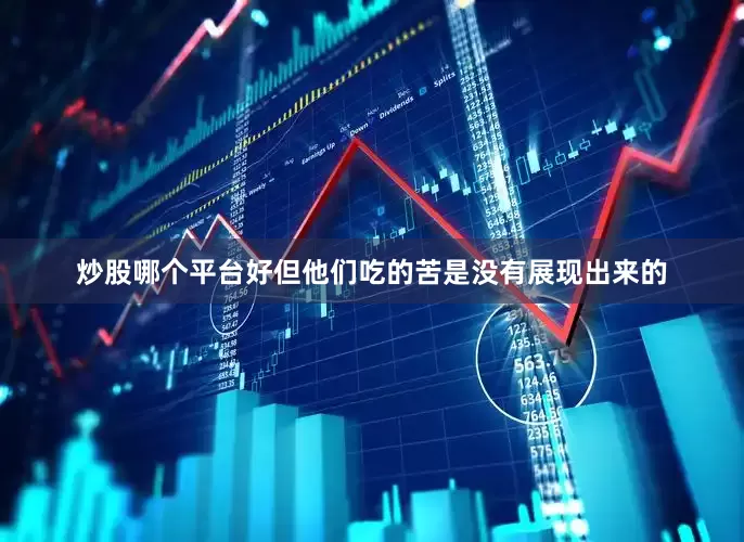 炒股哪个平台好但他们吃的苦是没有展现出来的