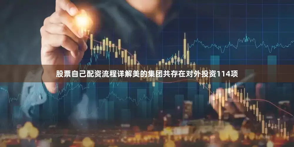 股票自己配资流程详解美的集团共存在对外投资114项